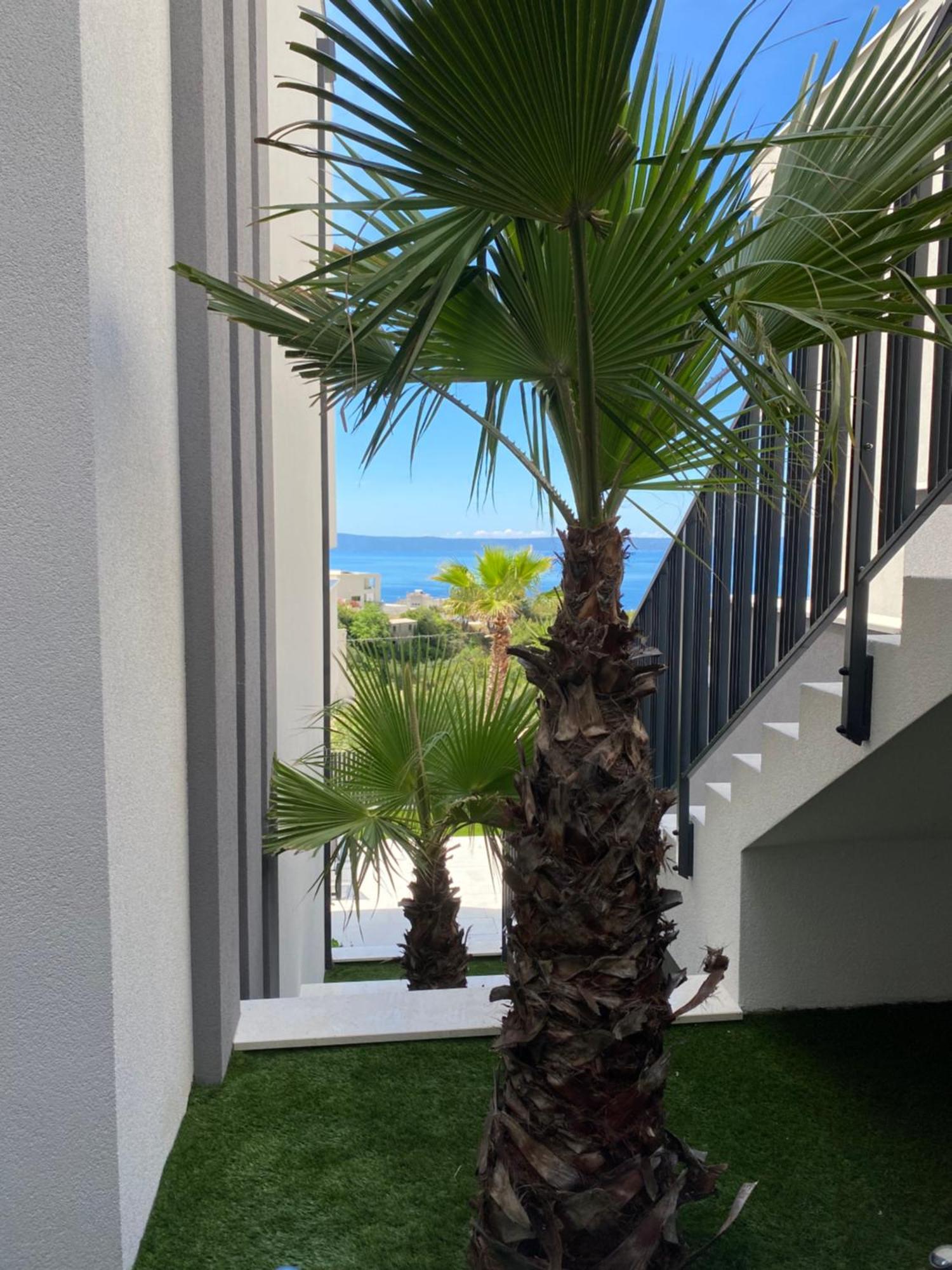 Villa 5 Makarska Buitenkant foto